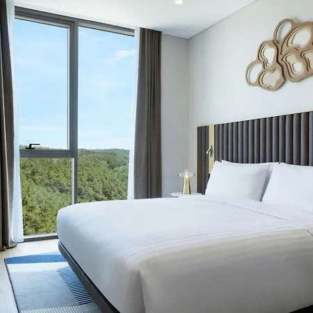 Marriott Executive Investvadi 酒店 4*